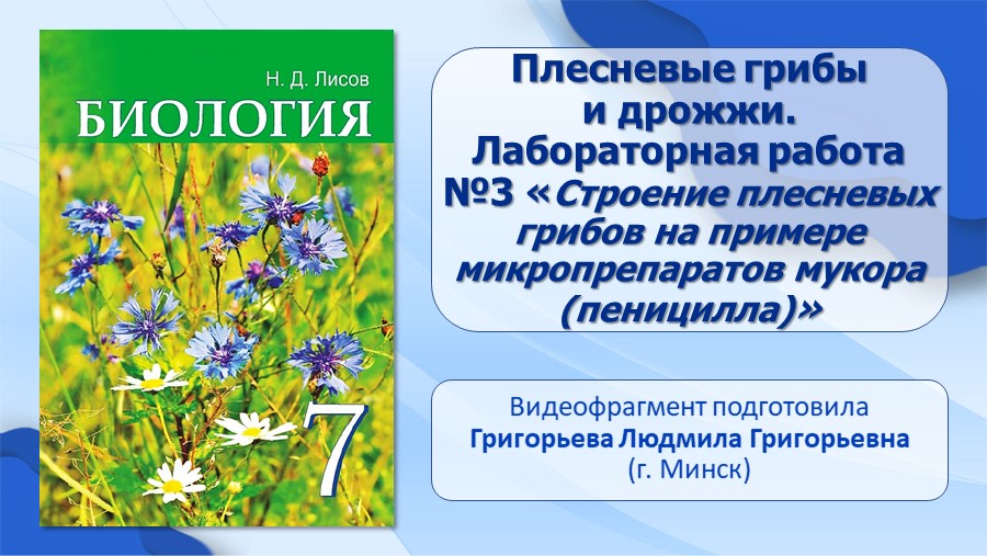 Контрольная работа по теме Плесневые грибы